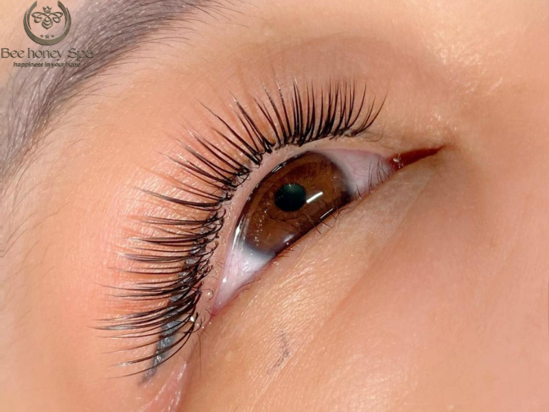 eyelash curling in danang