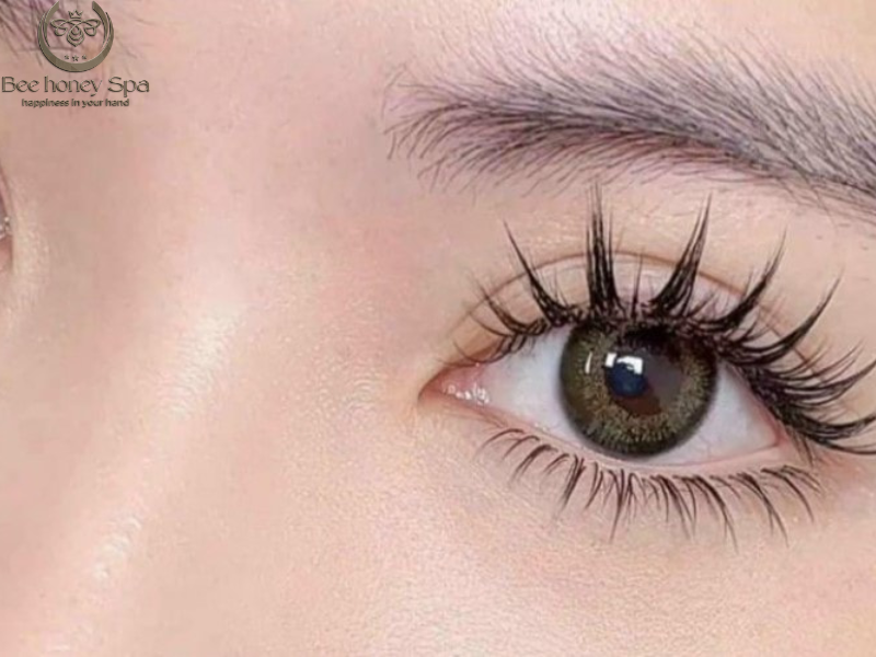 eyelash extension in da nang