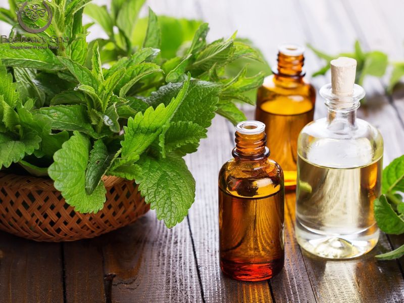 Popular Massage Essential Oils