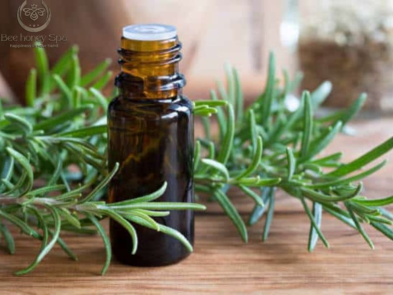 Popular Massage Essential Oils