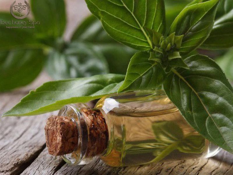 Popular Massage Essential Oils