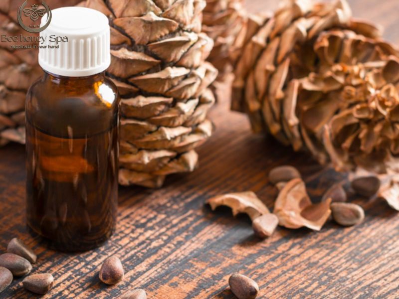 Popular Massage Essential Oils